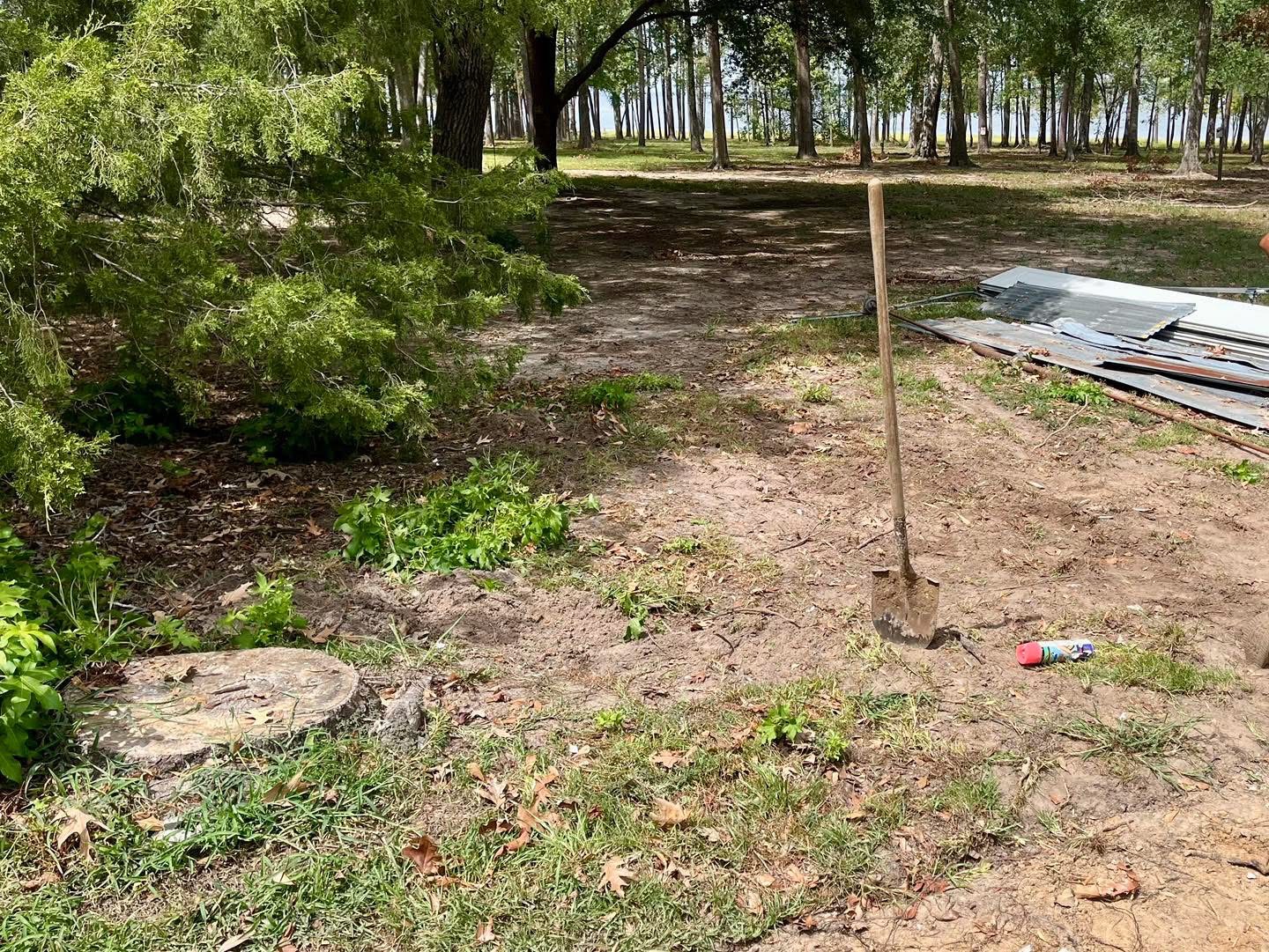 Liftoff Junk Removal Chandler AZ | Dumpster rental Same-Day Service Available