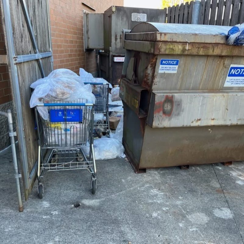 Professional Commercial Cleanouts Services in Broomfield CO